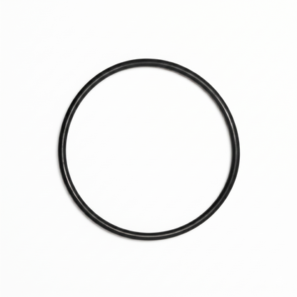 A top-down, studio shot of a black, circular rubber O-ring—identified as a Pro-Ject turntable motor suspension belt—centered against a clean, solid white background.