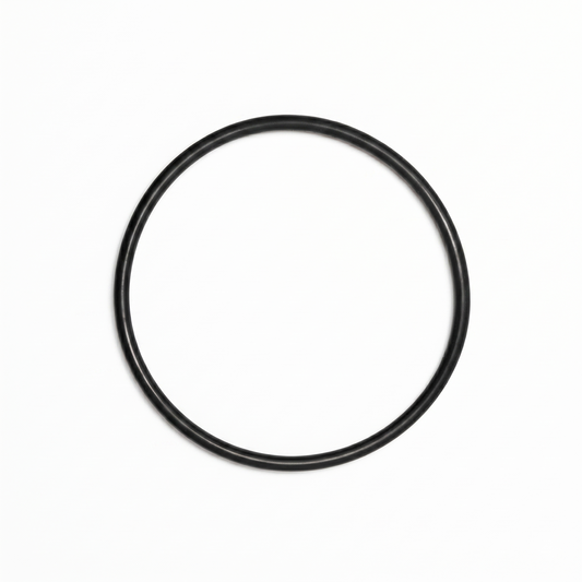 A top-down, studio shot of a black, circular rubber O-ring—identified as a Pro-Ject turntable motor suspension belt—centered against a clean, solid white background.