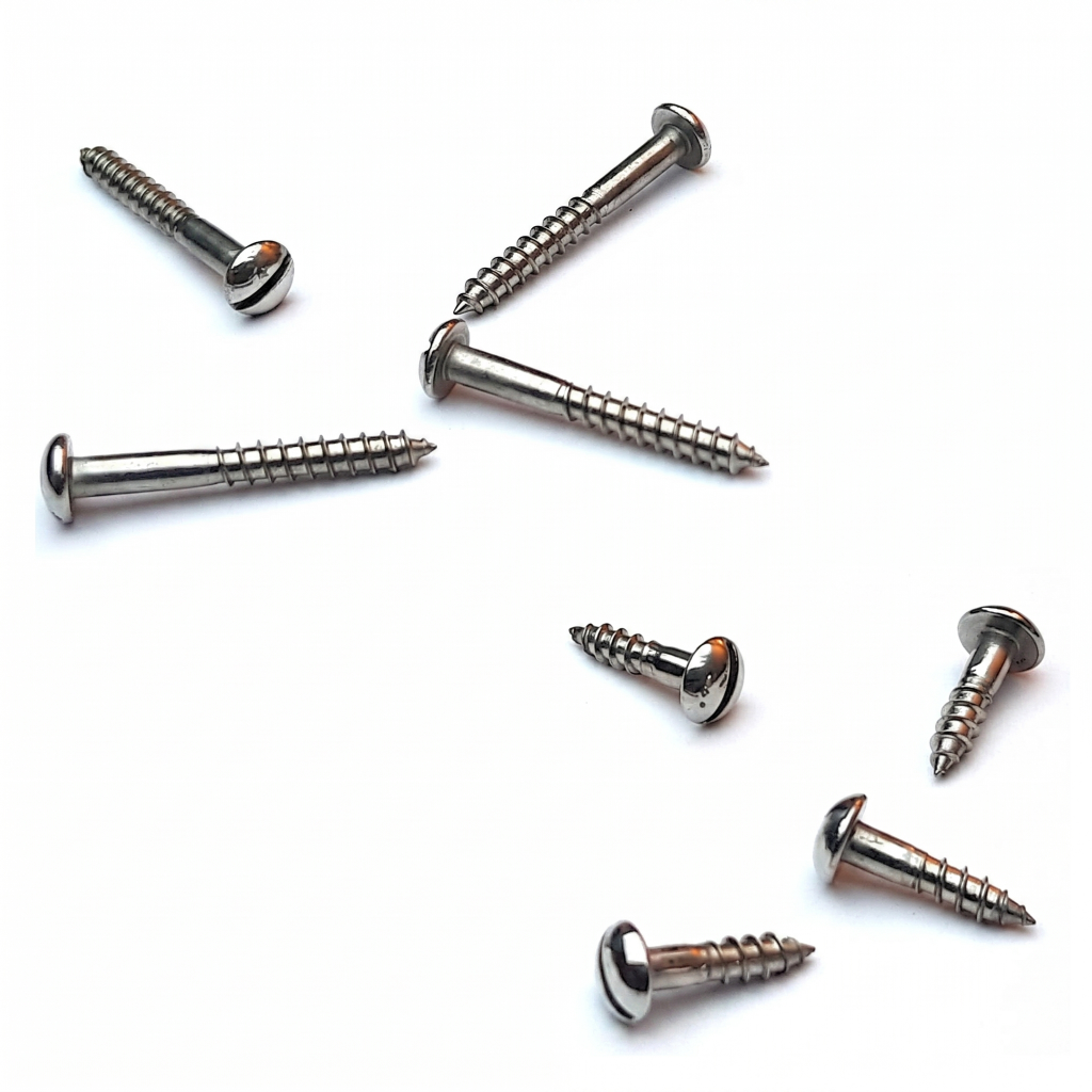 Metal screws on a white background
