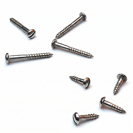 Metal screws on a white background