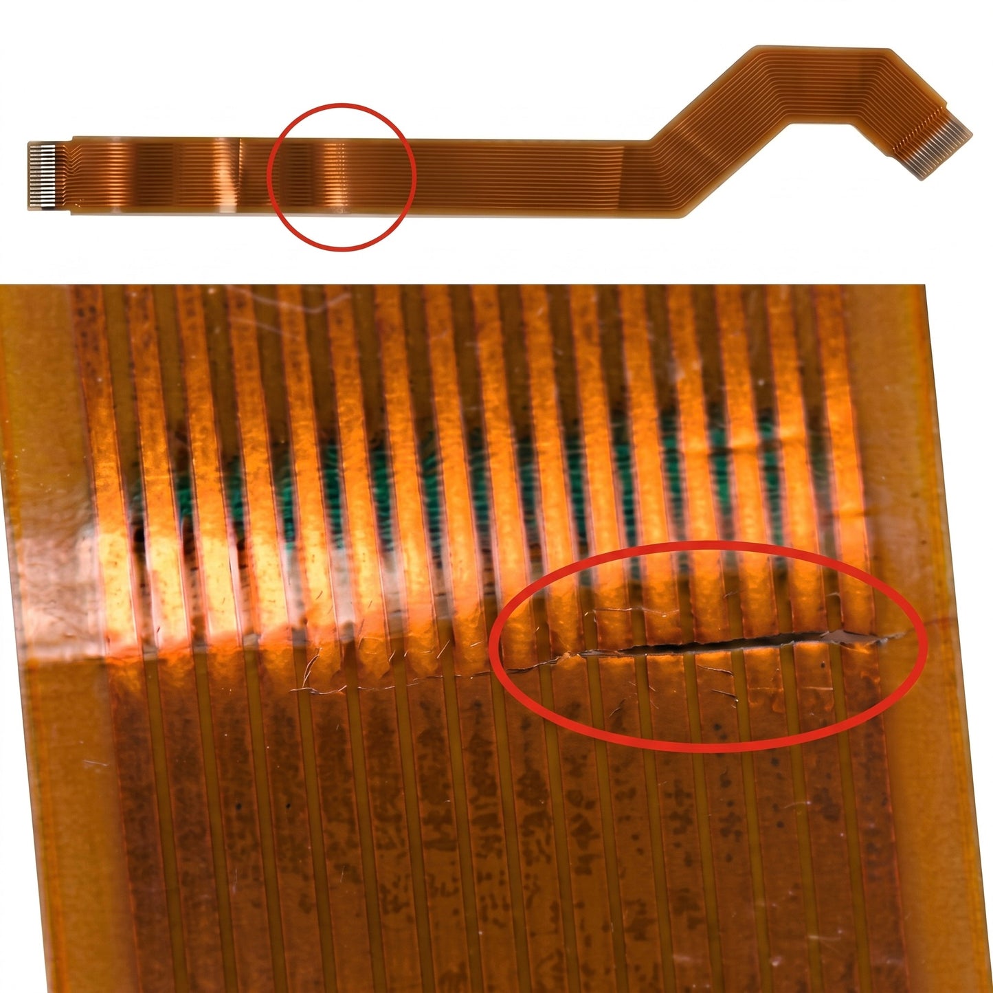 A close-up of a flexible copper trace PCB ribbon cable with two red circles highlighting damaged or broken traces on the ribbon.