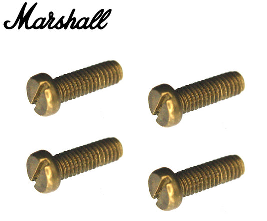 Marshall Brass Cheese Head Speaker Screws Celestion