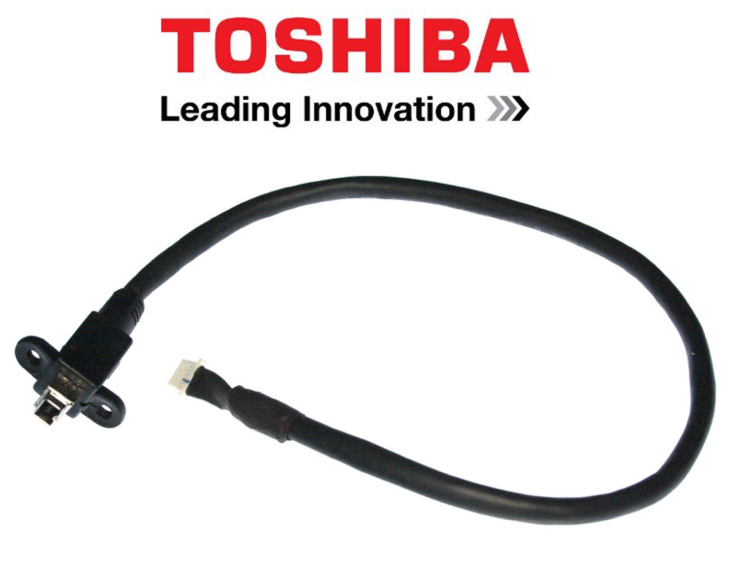 Toshiba DV In Socket with Lead 7910372