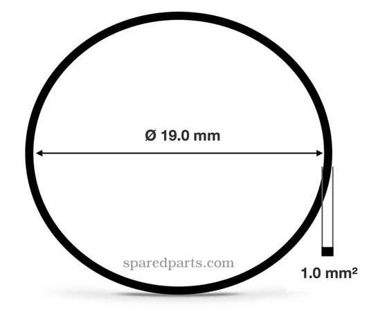 Square Section Drive Belt 19.0 x 1.0 mm